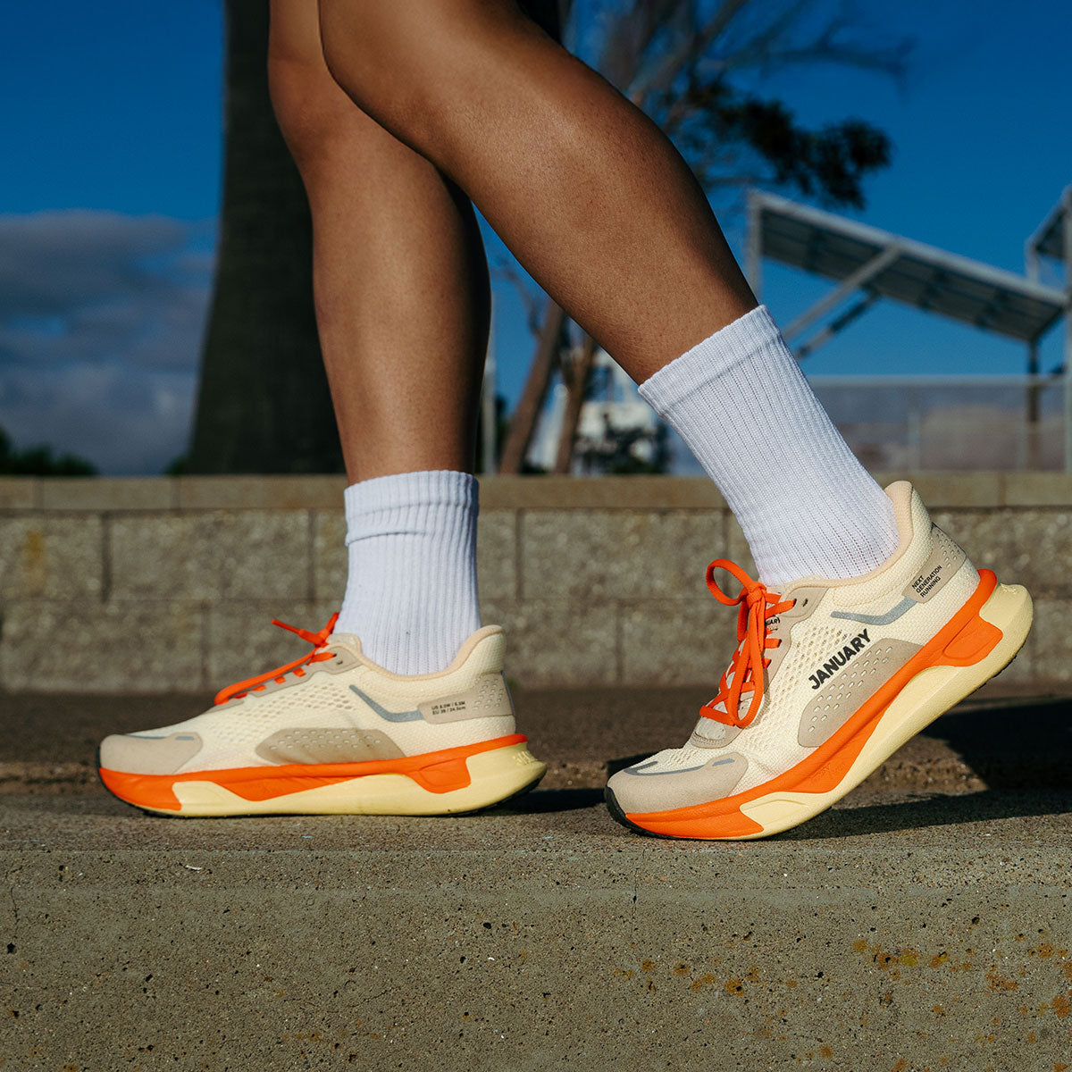 Scignal in Desert Bloom color with white socks on a concrete surface.